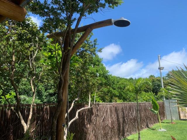 Bons Ventos Camping E Glamping Barra Grande  Extérieur photo